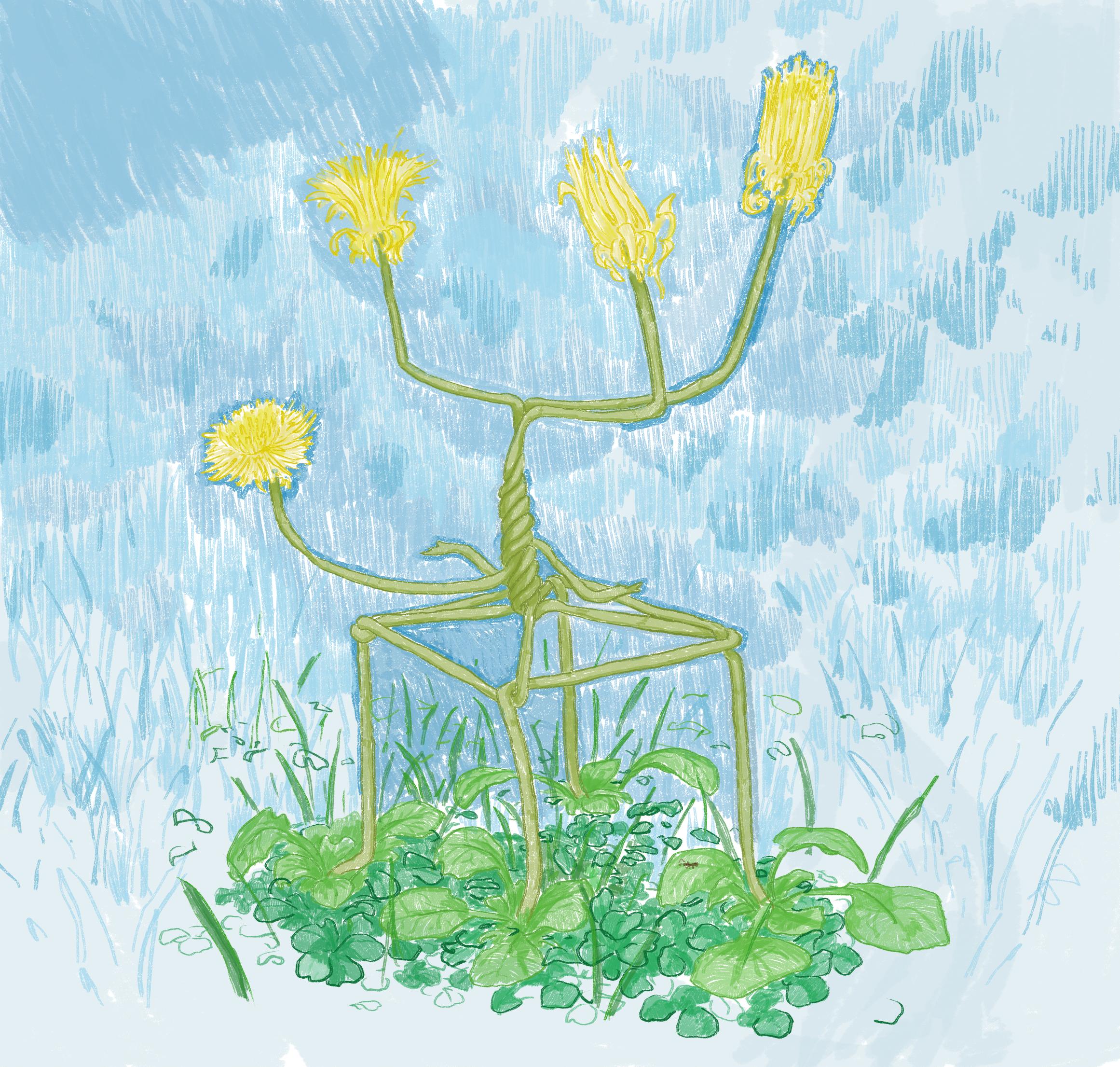 Extrait essai illustré